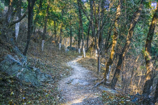 登山步道高清大图