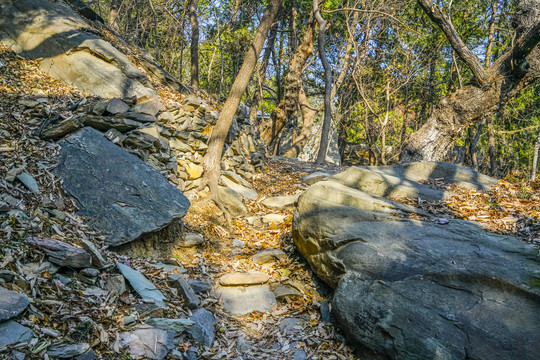 登山步道高清大图