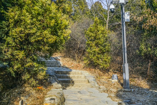 登山步道高清大图