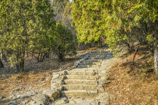 登山步道高清大图