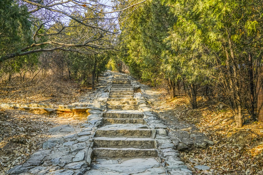 登山步道高清大图