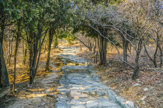 登山步道高清大图