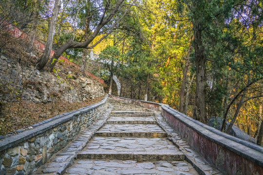 登山步道高清大图