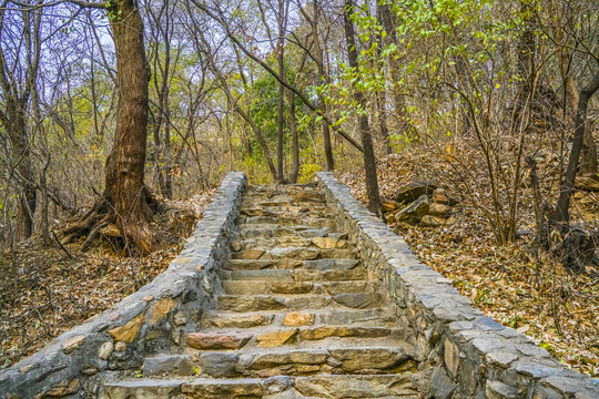 登山步道高清大图