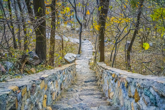 登山步道高清大图