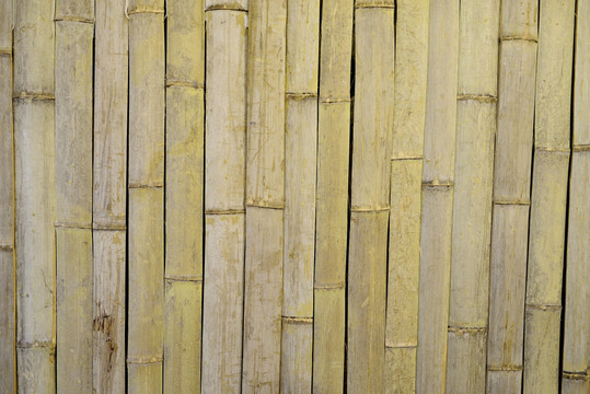 竹片背景墙