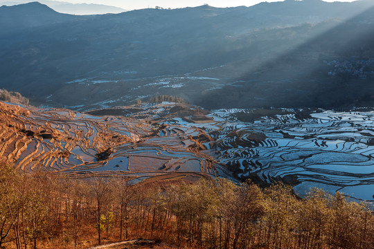 元阳梯田