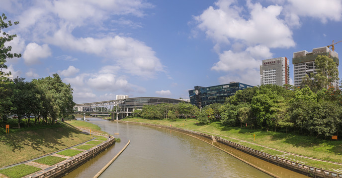 深圳大学城大沙河