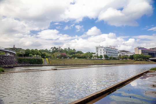 深圳大学城大沙河