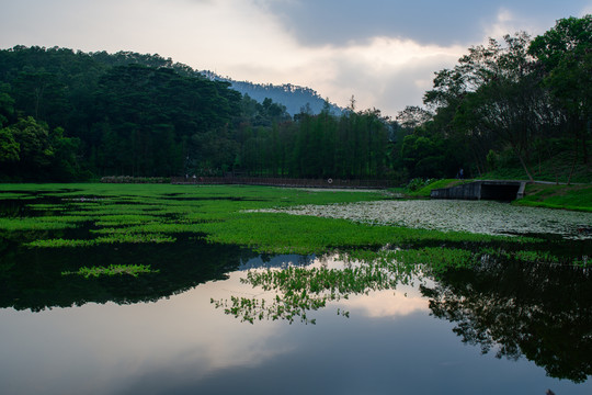 湖泊森林倒影