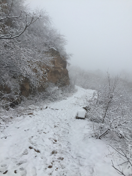 雪景