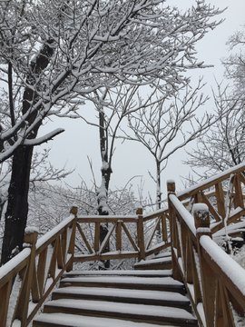 雪景