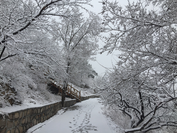 雪景