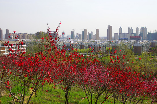 滁州新城区