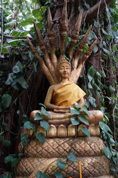 老挝佛像