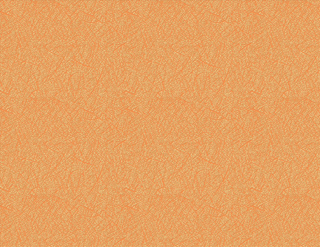 丽丝纹