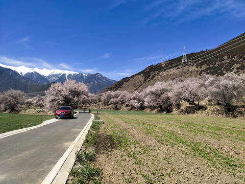 林芝风景