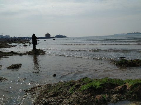 栈桥海滨风景