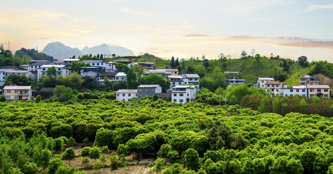 农家山水