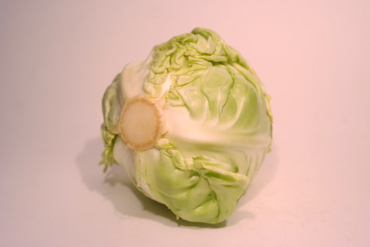 包心菜
