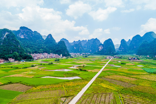 青山绿水