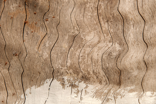 木材裂纹