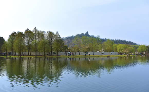 上海辰山植物园