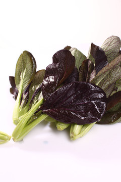 紫油菜