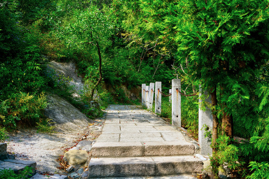 登山步道高清大图