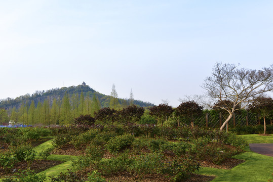 上海辰山植物园