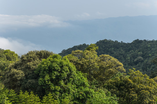 越南岘港巴拿山