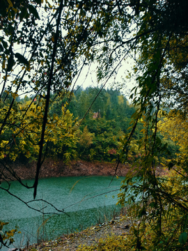 湖畔风景