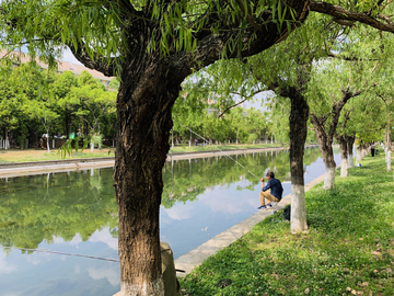 美丽的船房河