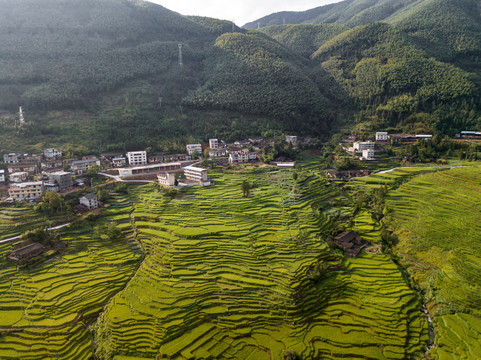 航拍三明尤溪梯田