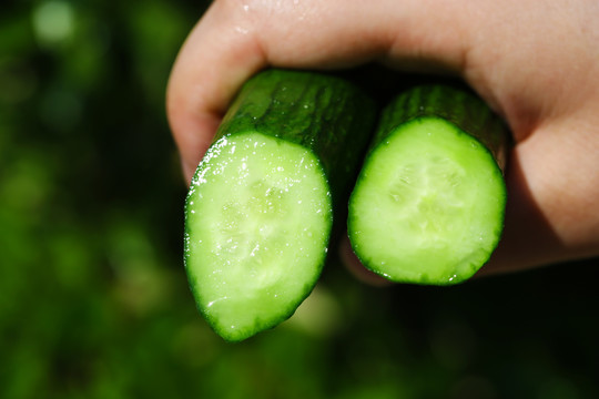 水果小黄瓜