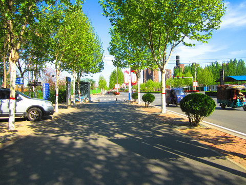 道路