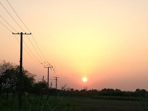 夕阳下的田野