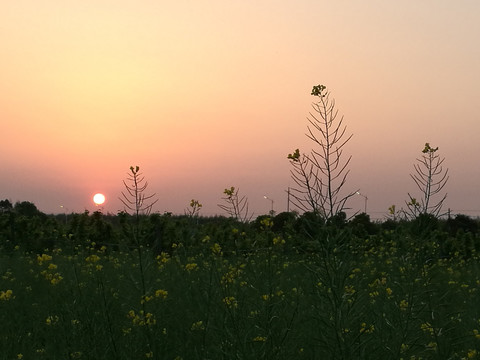 夕阳下的乡村田野