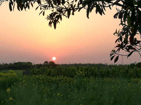 夕阳下的乡村田野