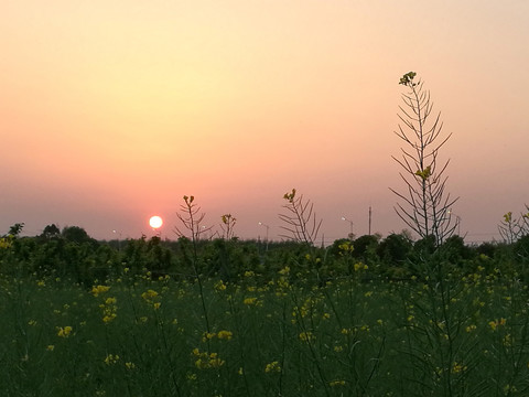 夕阳下的乡村田野