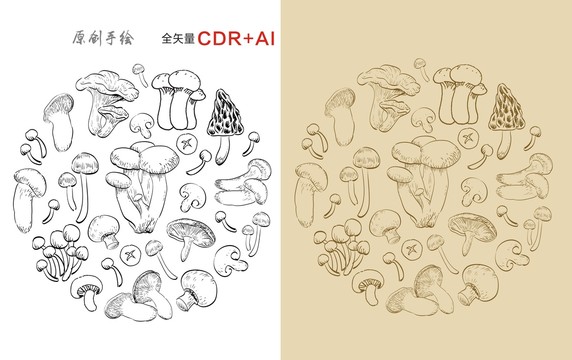 山珍菌菇插画手绘矢量蘑菇