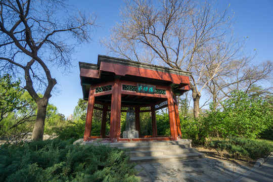 北京动物园依绿亭
