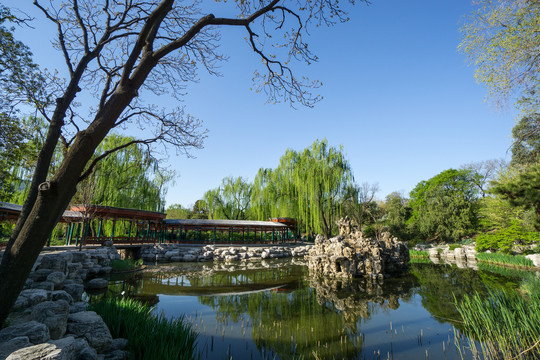 北京动物园牡丹亭