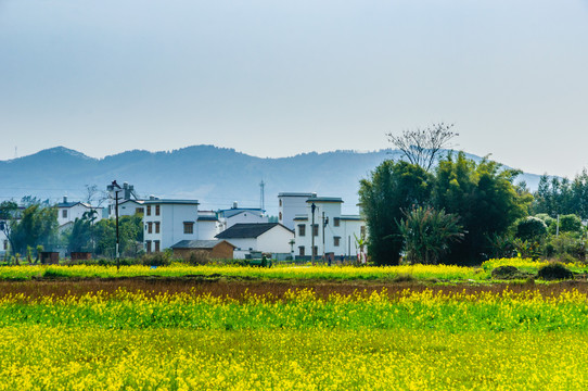 美丽乡村