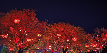 大雁塔夜景