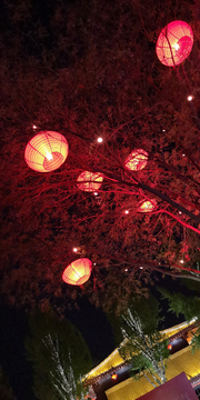 大雁塔夜景