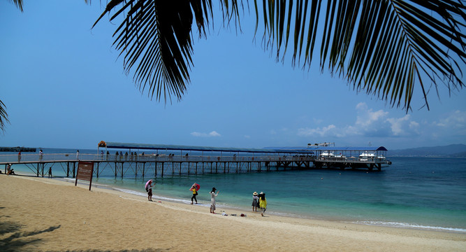 大海椰树沙滩