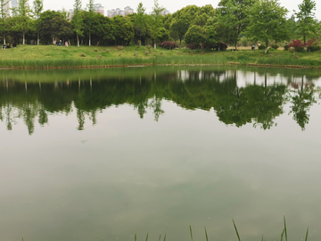 三水风景