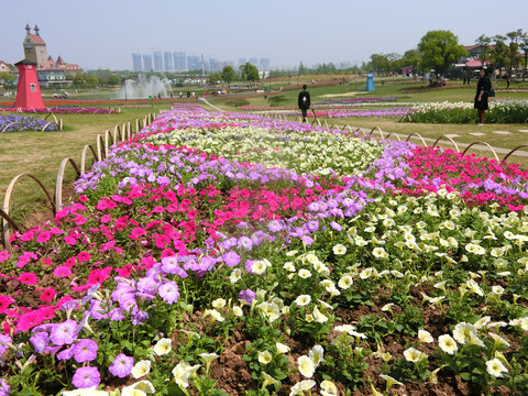 繁花似锦