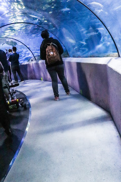 海洋世界海底隧道